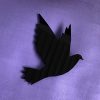 ans markus – broche zwart duif